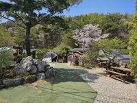 Daebudo Blue Island Camping Site