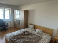 Cosy Apartment in Aadorf - Homestays