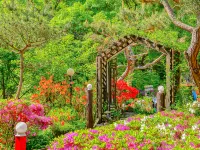 Gapyeong Acorn Pension Hotels near Daewonsa