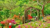 Gapyeong Acorn Pension - Wifi