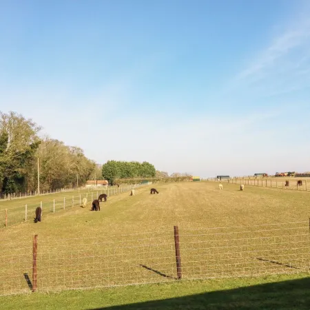Alpaca Lodge Hotele w: Grantham