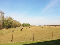 Alpaca Lodge