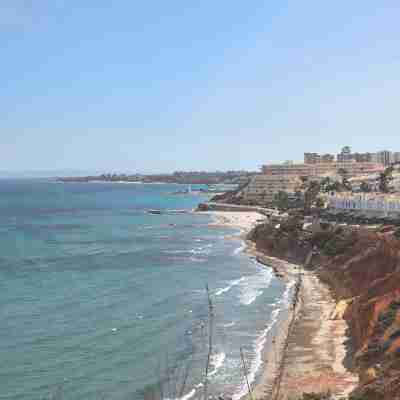 Playa Flamenca with Terrace Others