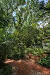 Lisland Rainforest Resort