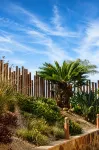 Apartamentos Atlántico Resort - 4-Sterne