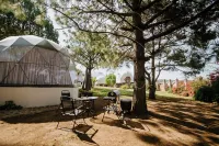 LUMBAI GLAMPING MAZAMITLA - Balkoner