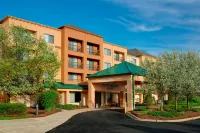 Courtyard Detroit Pontiac/Auburn Hills - parking