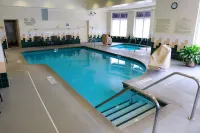 Hilton Garden Inn Rochester Downtown - Pools