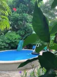 Quinta mi tata 1 of 4 shared bath - Pools