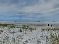 CarrleTrachtman - Sea View