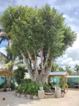 Hoosville Hostel (Formerly the Everglades Hostel) - Hostels