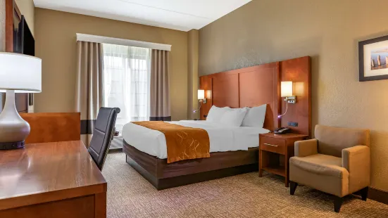 Comfort Suites Grand Rapids South