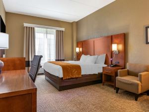 Comfort Suites Grand Rapids South