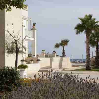 Canne Bianche Lifestyle Hotel Hotel Exterior