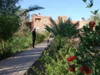 In the Heart of Tamegroute