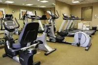 Holiday Inn Express & Suites Tehachapi Hwy 58/Mill ST.