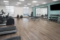 Holiday Inn Express & Suites ODESSA I-20 by IHG - Gym