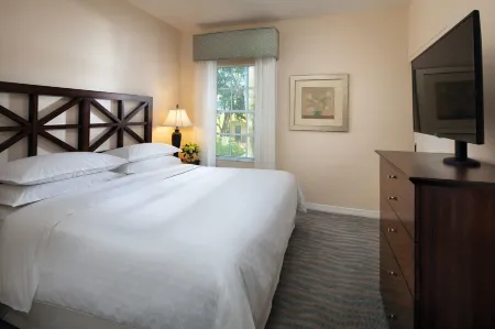 奧蘭多布納維斯塔湖維斯塔那萬豪喜來登別墅度假飯店