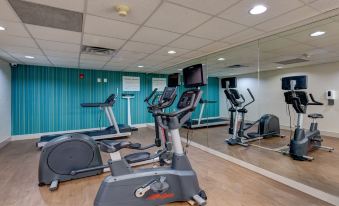 Holiday Inn Express & Suites Ashtabula-Geneva