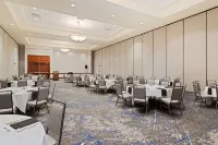 Embassy Suites by Hilton Tampa USF Near Busch Gardens - bar