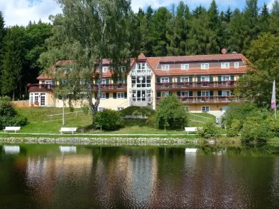 Parkhotel Bad Brambach Hotels in Bad Brambach
