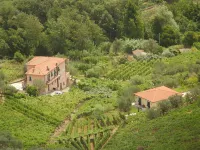 Agriturismo La Collina Verde