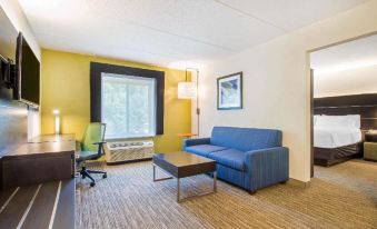 Holiday Inn Express & Suites Albany Airport - Wolf Road