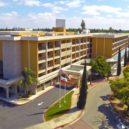 Hilton Stockton