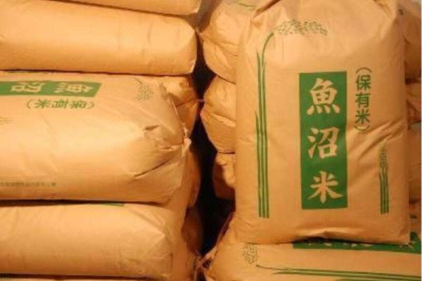 호텔 뉴 스타 이케부쿠로(Hotel New Star Ikebukuro)_4