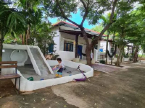 คานารี่ เกสท์เฮาส์ โรงแรมในปาย