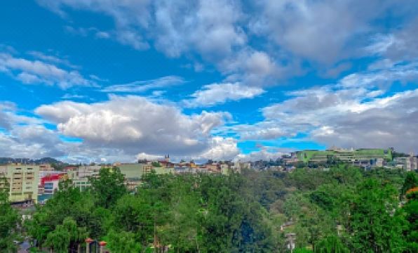 3. 메트로 파인스 ..