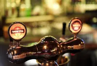 The Spot Hostel - bar