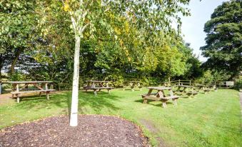 a park with a large tree and several wooden picnic tables , surrounded by grass and trees at Thames Head Inn
