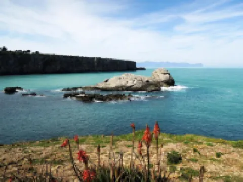 TerraSole Bakery B&B