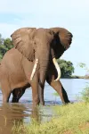 Mwinilunga Safaris فنادق في Hurungwe