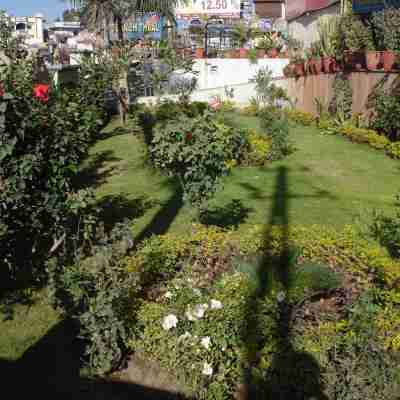 Hotel Ambaji International Hotel Exterior