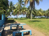 Cabinas Miss Miriam 2 Hotels in Tortuguero