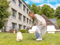 Love Dog度假區愛犬御宿 伊豆高原