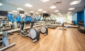 Holiday Inn Express & Suites Brevard – City Center