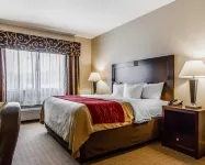 Comfort Inn & Suites Near Lake Guntersville - Pet friendly