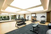 Holiday Inn LUCKNOW AIRPORT by IHG - gimnasio