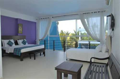 Dazzle Bay by Twenty Two