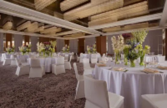 The Ritz-Carlton, Baku