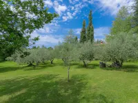 Lucija Hotels in Marceljani