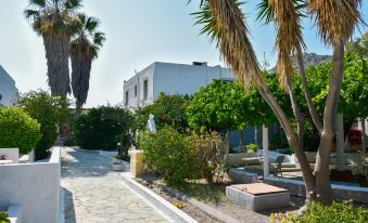 a small white house surrounded by trees and bushes , located on a street with a paved walkway at Anamar Patmos