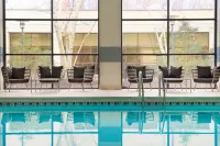 Pittsburgh Airport Marriott - Pools