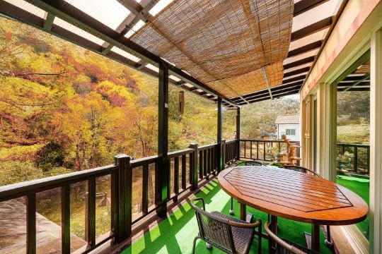 정선 연리지펜션