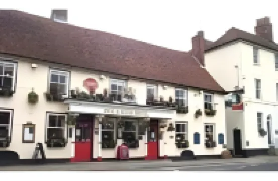 The Dog & Bear Hotel