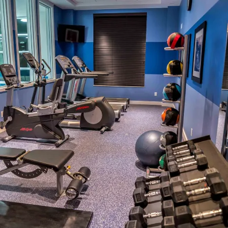 Holiday Inn Express & Suites TORONTO AIRPORT WEST by IHG