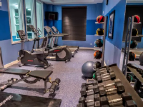 Holiday Inn Express & Suites TORONTO AIRPORT WEST by IHG